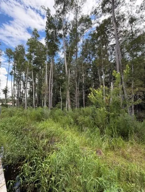 Wesley Chapel Blvd, LUTZ, FL 33559