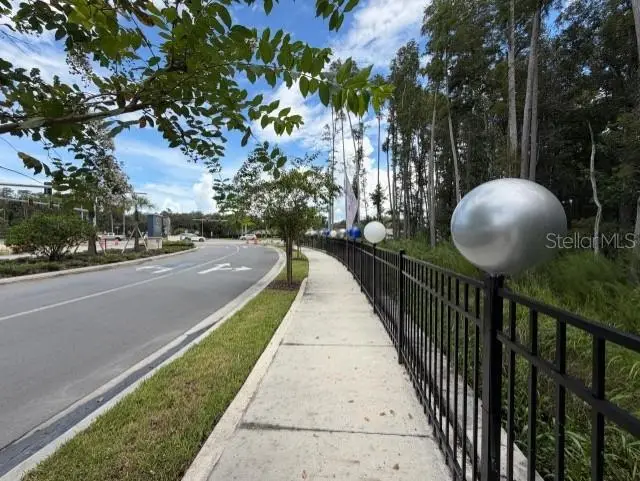 Wesley Chapel Blvd, Lutz, FL 33559 - #3