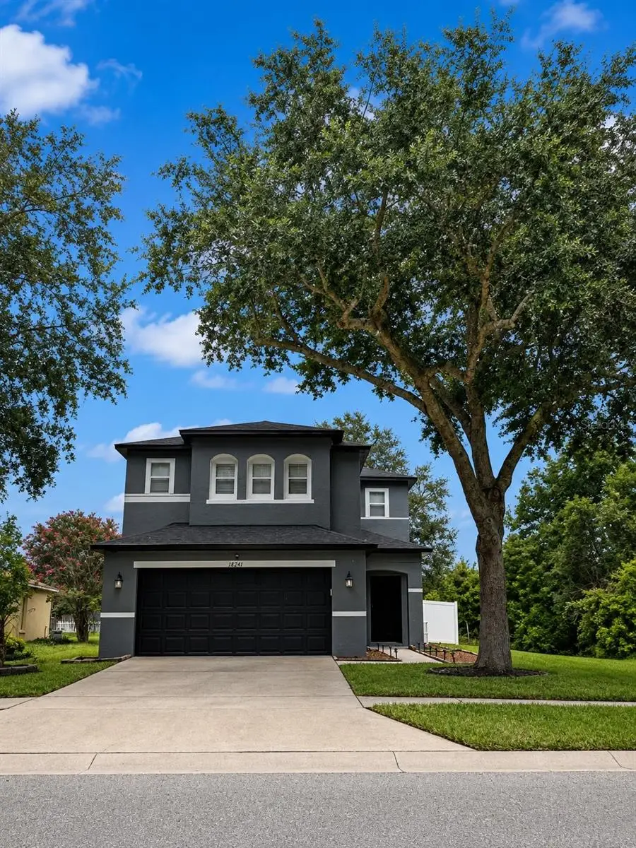 18941 Sunterra Drive, Land O Lakes, FL 34638 - #1