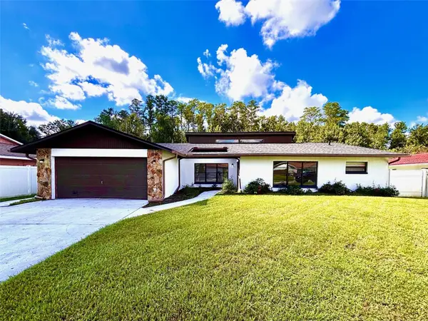 4545 Debbie Lane, LUTZ, FL 33559