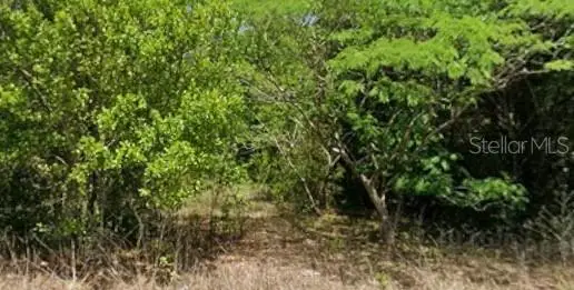 19949 Rainbow Lakes Boulevard, Dunnellon, FL 34431 - #1