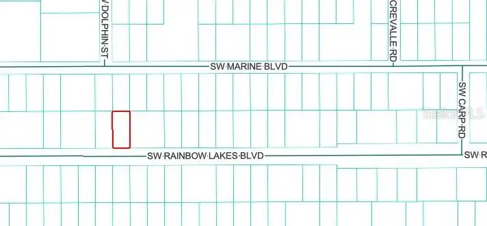 19949 Rainbow Lakes Boulevard, Dunnellon, FL 34431 - #2