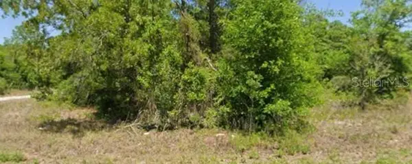 21943 Rainbow Lakes Boulevard, DUNNELLON, FL 34431