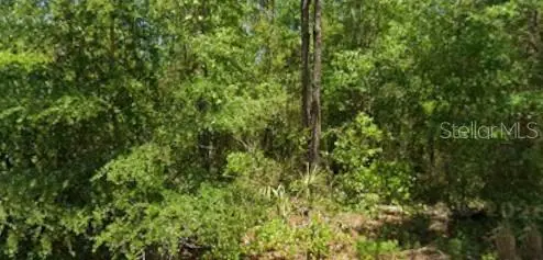 21425 Rainbow Lakes Boulevard, DUNNELLON, FL 34431