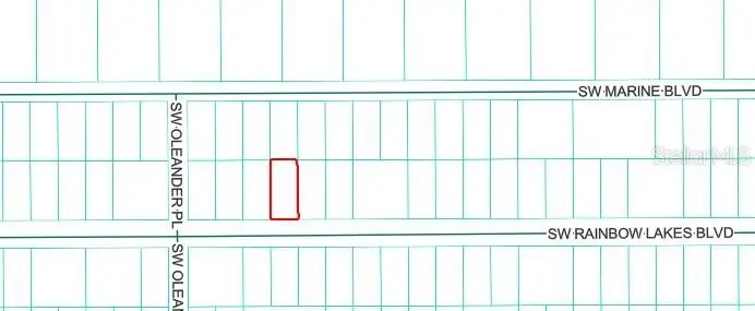 21425 Rainbow Lakes Boulevard, Dunnellon, FL 34431 - #2