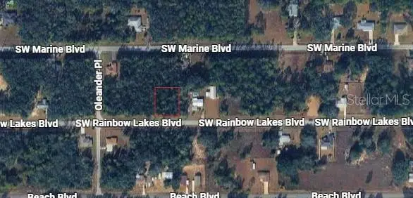 21425 Rainbow Lakes Boulevard, Dunnellon, FL 34431 - #3