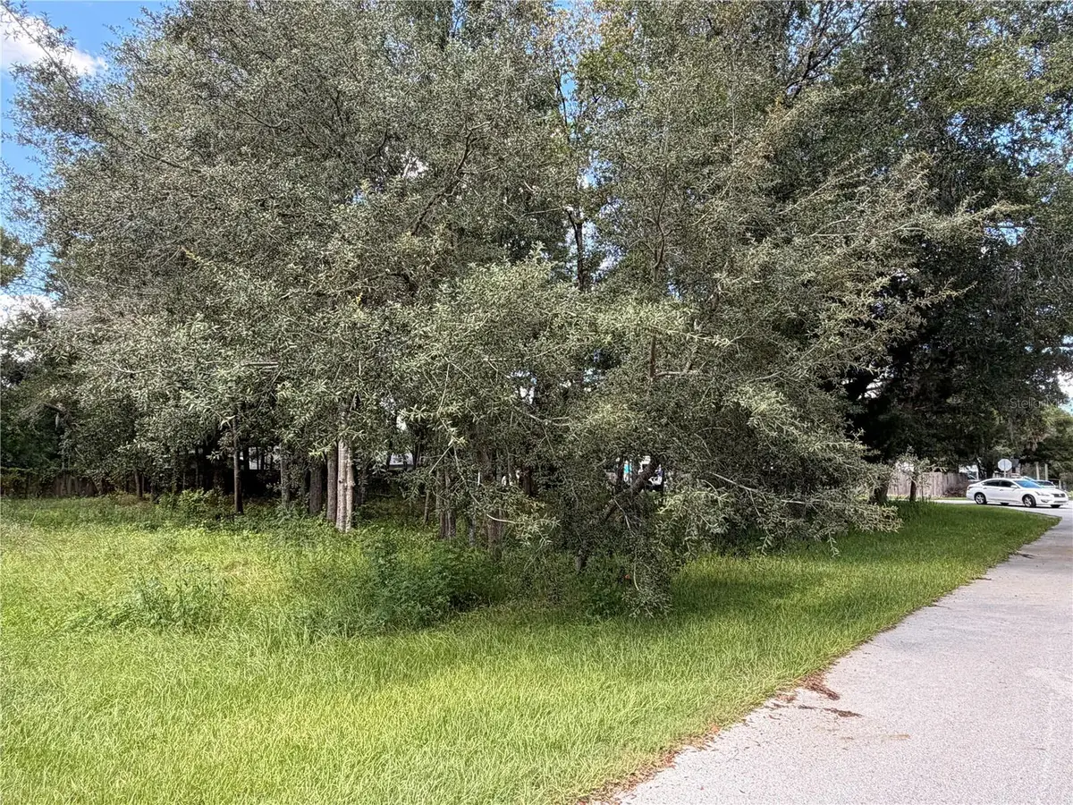 7457 W Turkeyneck Court, Homosassa, FL 34448 - #1
