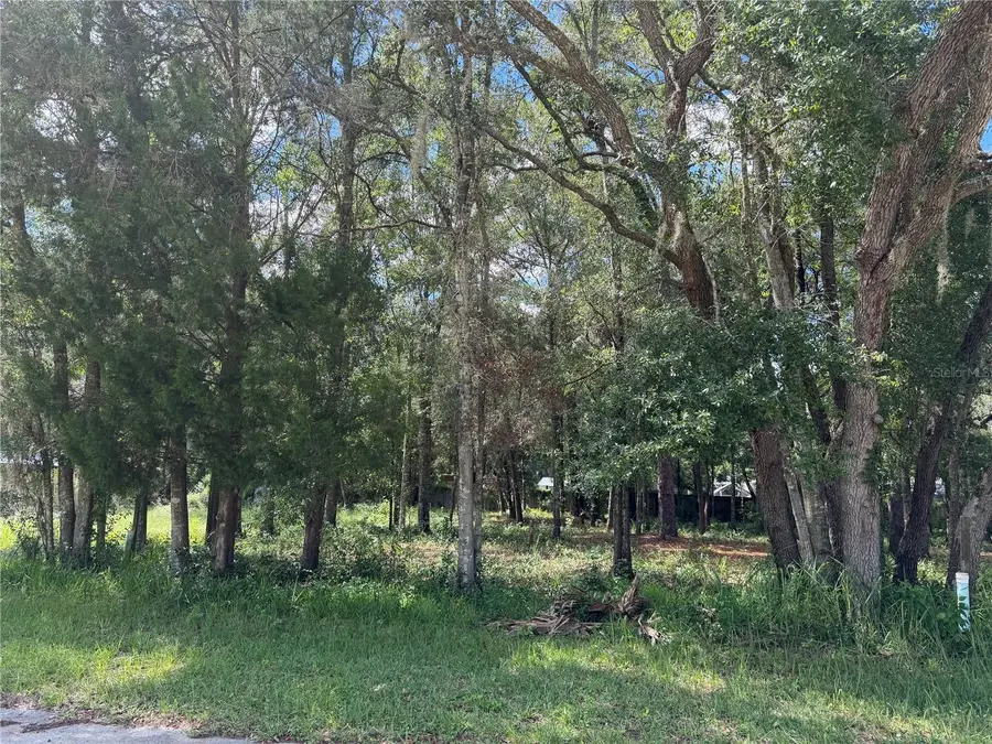 7457 W Turkeyneck Court, Homosassa, FL 34448 - #3