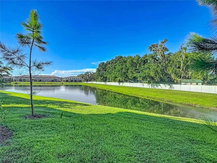 6279 Shiner Street, Land O Lakes, FL 34638 - #2