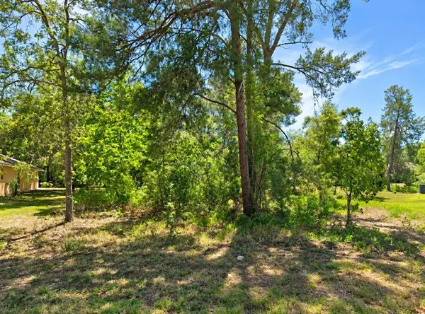 10 Dracaena Court, HOMOSASSA, FL 34446
