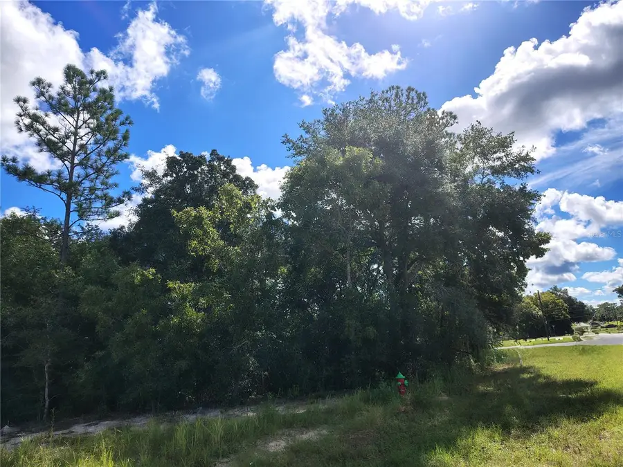 Silver Springs Shores Unit16, Ocala, FL 34472 - #3