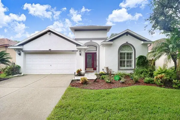 1161 Emerald Hill Way, VALRICO, FL 33594