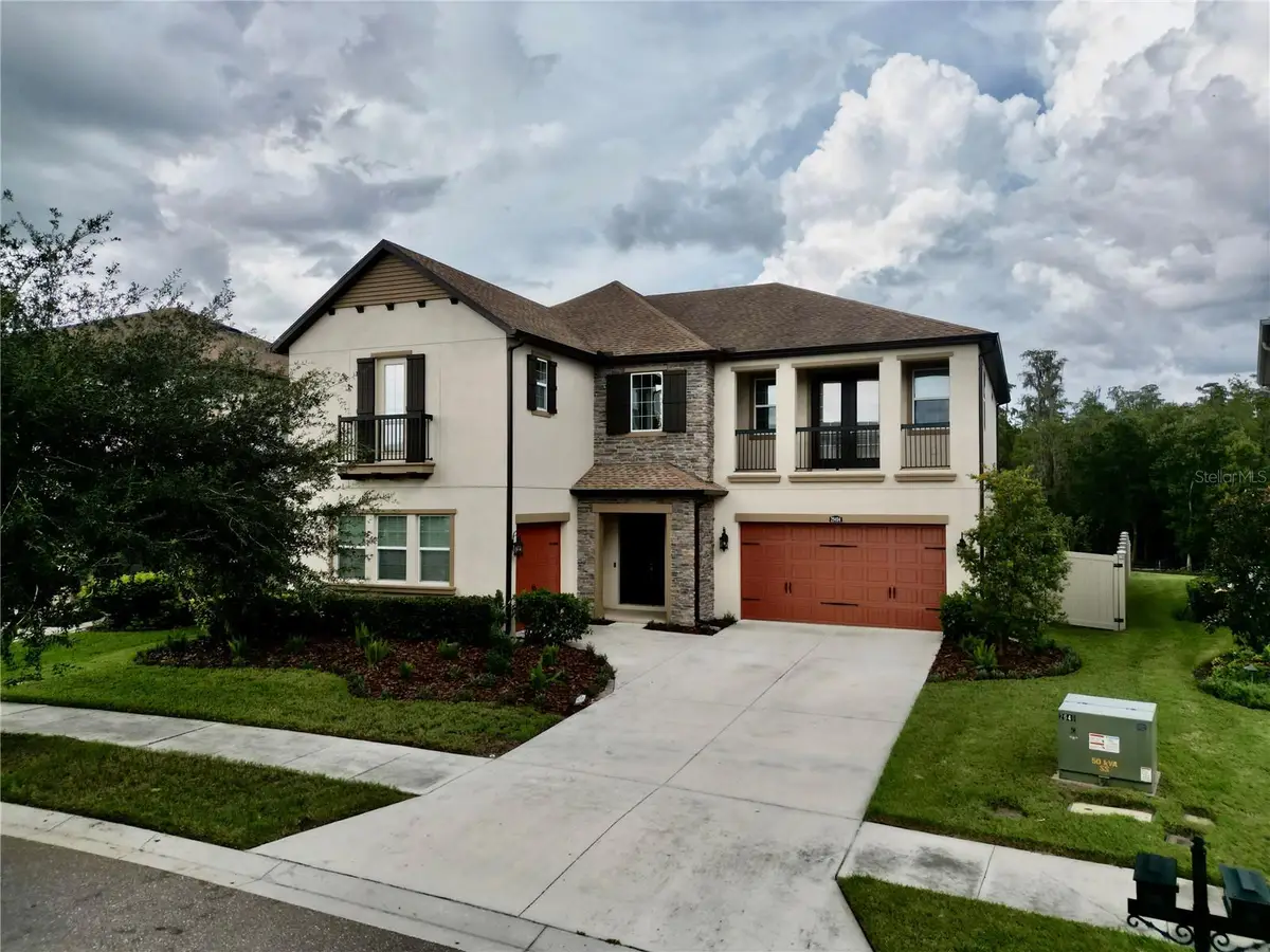 29404 Picana Lane, Wesley Chapel, FL 33543 - #1