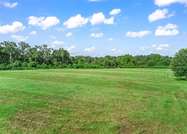 2239 SE 112th Avenue, WEBSTER, FL 33597