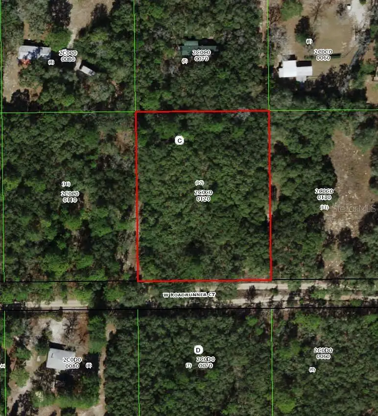 4385 W Roadrunner Court, Homosassa, FL 34446 - #1