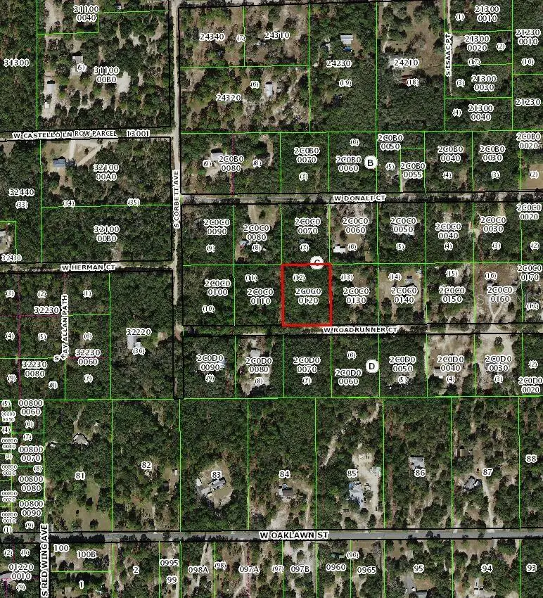 4385 W Roadrunner Court, Homosassa, FL 34446 - #3