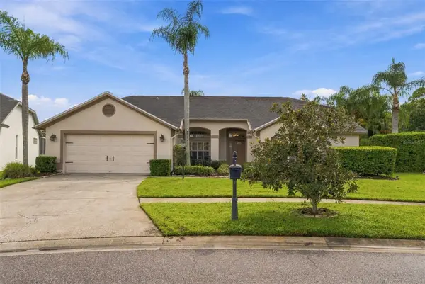 12427 Bristol Commons Circle, TAMPA, FL 33626