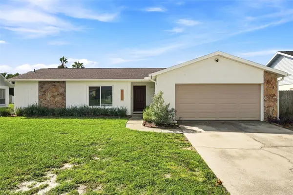 11219 Fiddlewood Drive, RIVERVIEW, FL 33569