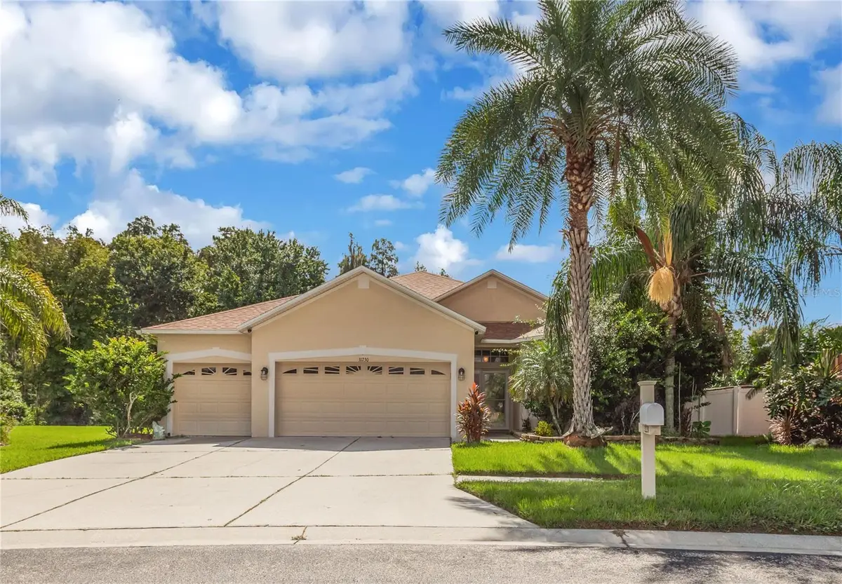 31230 Alchester Drive, Wesley Chapel, FL 33543 - #1