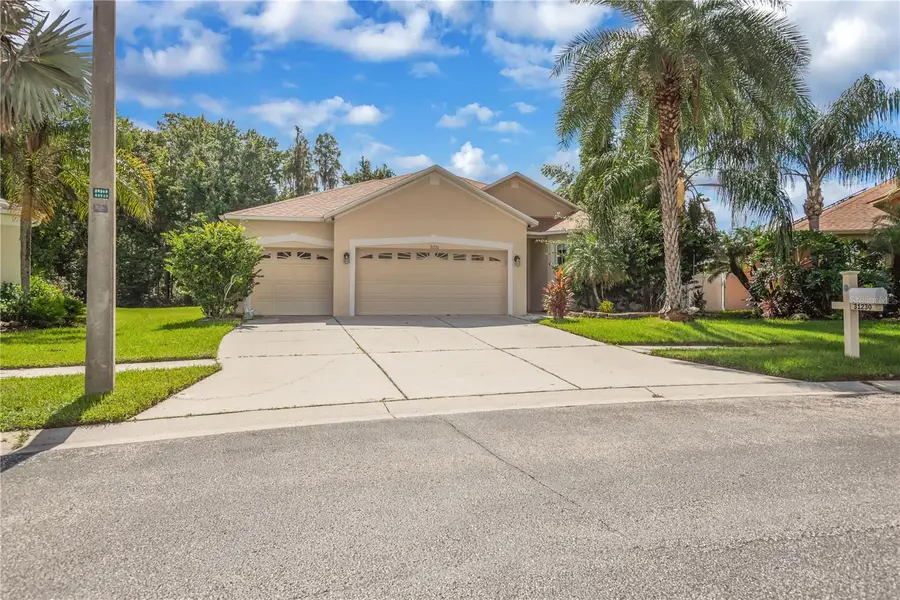 31230 Alchester Drive, Wesley Chapel, FL 33543 - #2