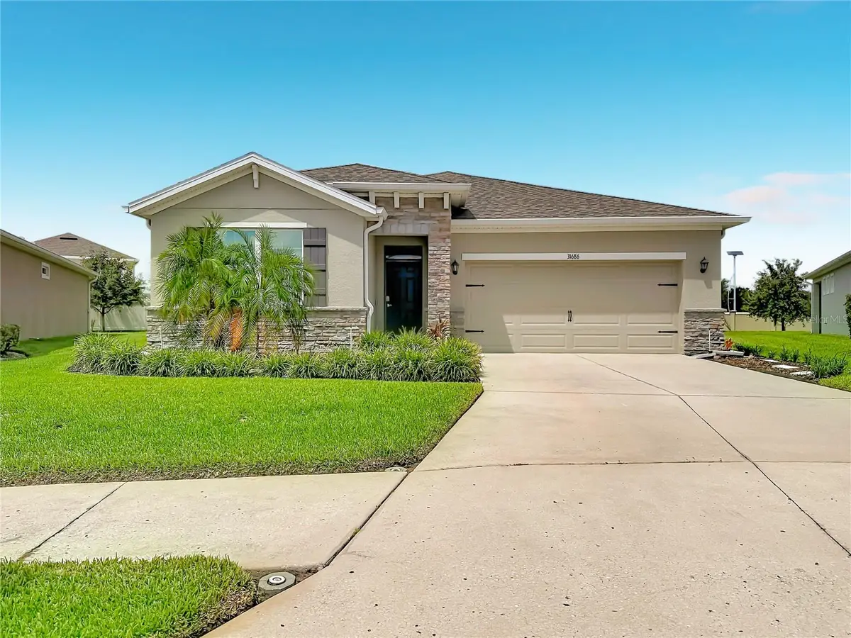 31686 Tansy Bend, Wesley Chapel, FL 33545 - #1