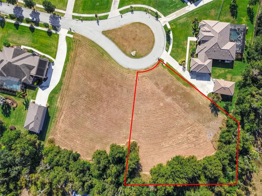 420 Hawk Talon Drive, Lithia, FL 33547 - #3