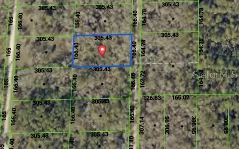 TBD Packingham Drive, Webster, FL 33597 - #1