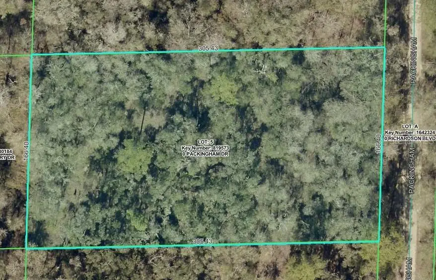 TBD Packingham Drive, Webster, FL 33597 - #2