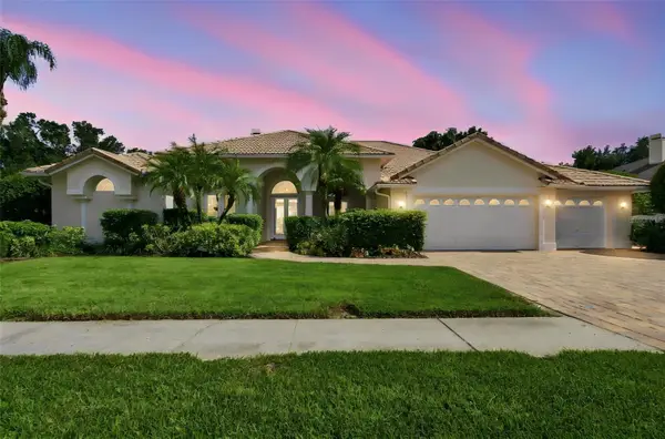 3626 Swans Landing Drive, LAND O LAKES, FL 34639