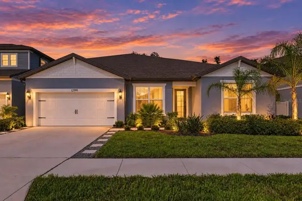 12919 Willow Grove Drive, RIVERVIEW, FL 33579