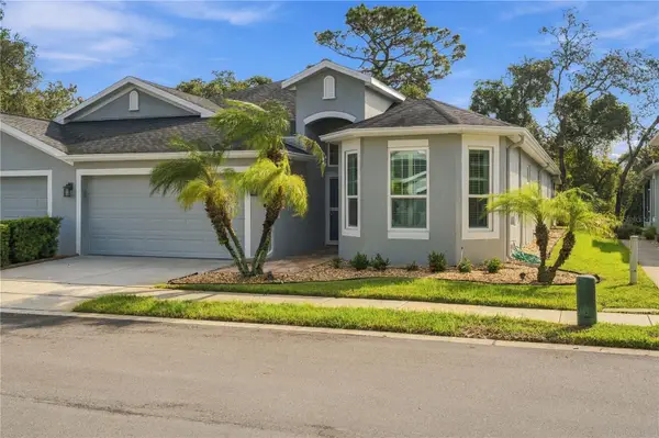 10719 Ashford Oaks Drive, TAMPA, FL 33625
