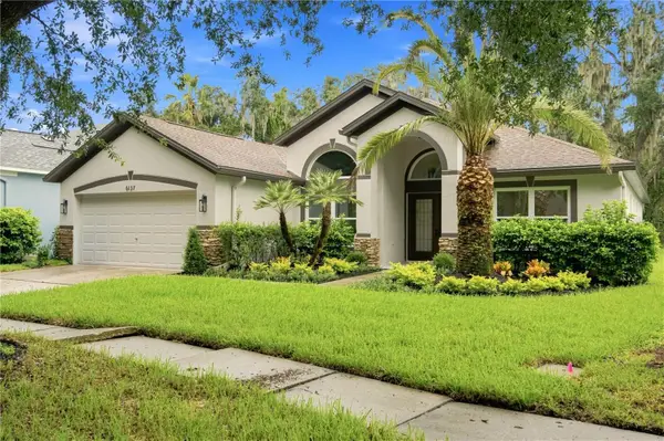 6137 Whimbrelwood Drive, LITHIA, FL 33547