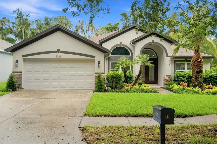 6137 Whimbrelwood Drive, Lithia, FL 33547 - #2