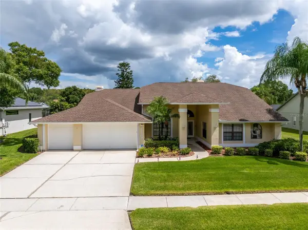 17509 Tally Ho Court, ODESSA, FL 33556