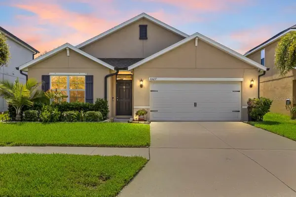 10527 Park Meadowbrooke Drive, RIVERVIEW, FL 33578