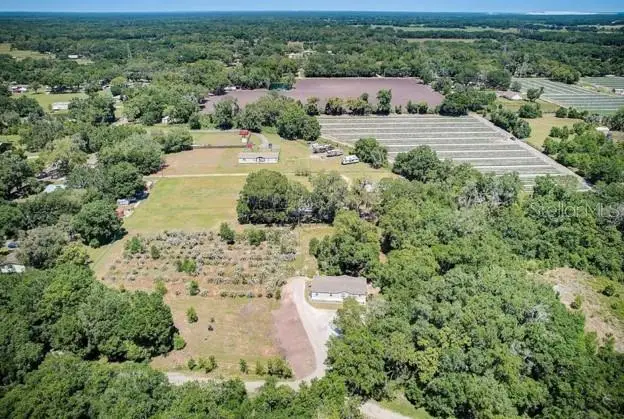 5302 Cougar Trail Lane, Plant City, FL 33565 - #3