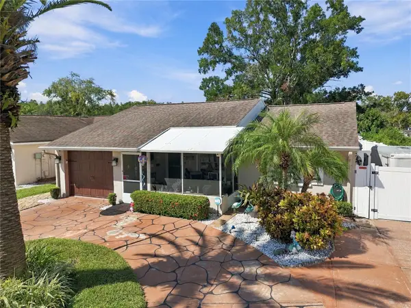 16012 Saddlestring Drive, TAMPA, FL 33618