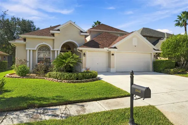 23442 Vistamar Court, LAND O LAKES, FL 34639