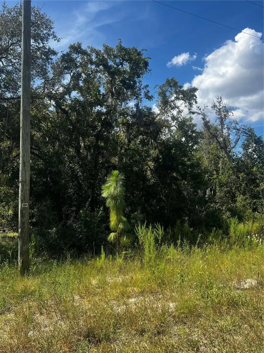0 Crider Road, Weeki Wachee, FL 34614 - #1