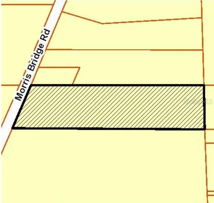1 Thonotosassa, Thonotosassa, FL 33592 - #2