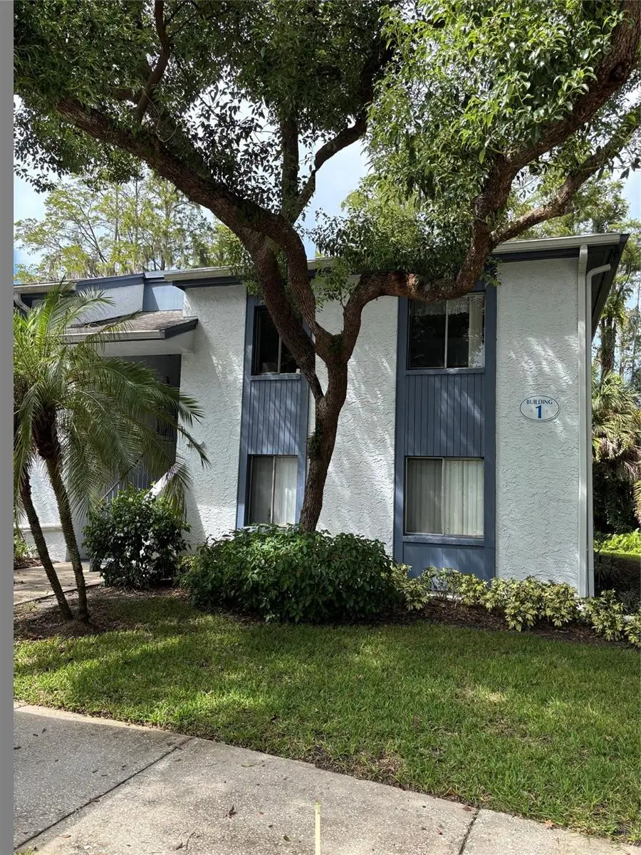 104 Cypress Lane #104, Oldsmar, FL 34677 - #1