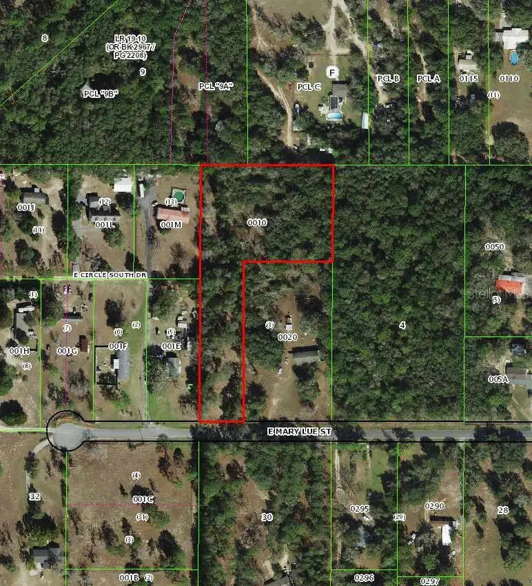 2047 E Mary Lue Street, Inverness, FL 34453 - #1