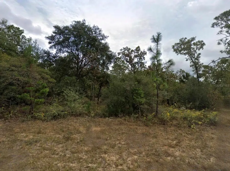 Unassaigned, Chipley, FL 32428 - #2