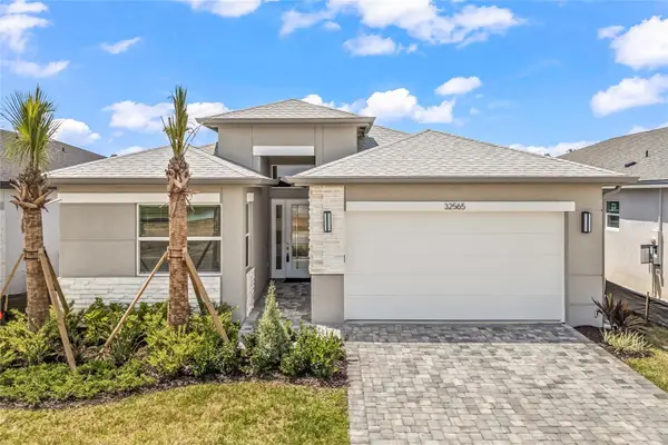 32565 Veneto Place, WESLEY CHAPEL, FL 33543