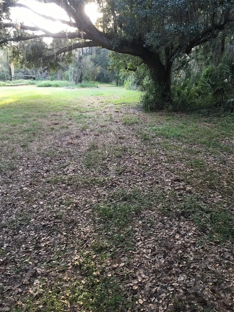 7805 Turkey Creek Road, Plant City, FL 33567 - #2