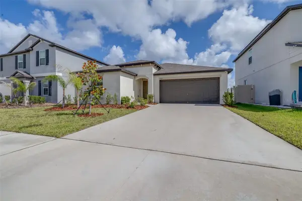 5182 Fiddle Fig Avenue, WIMAUMA, FL 33598