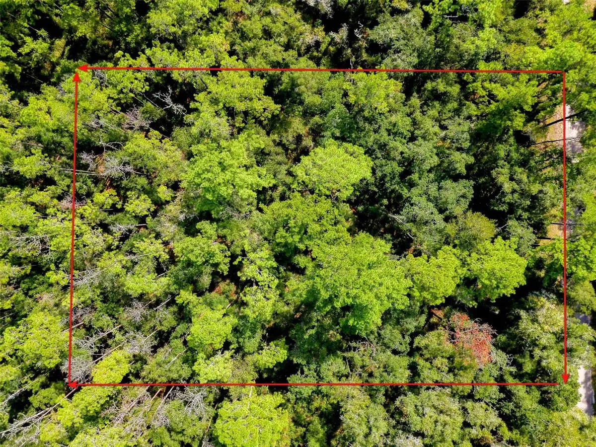 1163 E Odin Drive, Citrus Springs, FL 34434 - #1