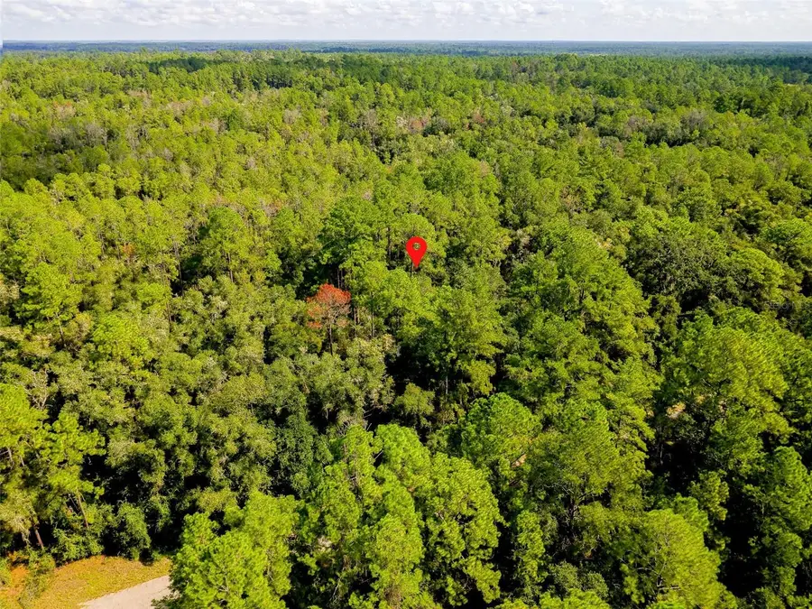 1163 E Odin Drive, Citrus Springs, FL 34434 - #2