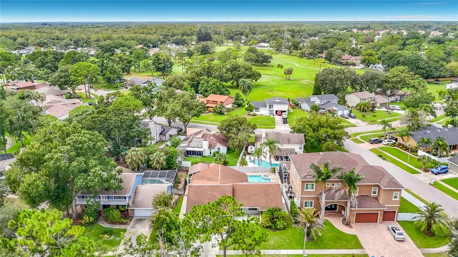 4608 Apple Ridge Lane, Tampa, FL 33624 - #2