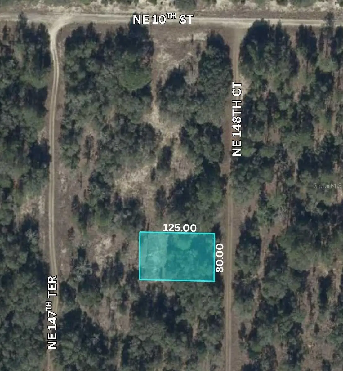 NE 148th Court, Williston, FL 32696 - #1